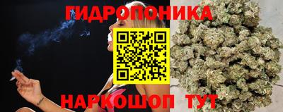 гашишное масло Гатчина