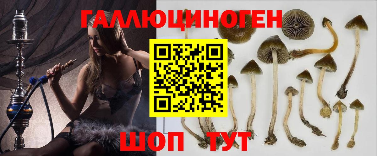 Псилоцибиновые грибы ЛСД  Псилоцибиновые грибы мухоморы  Нижний Новгород  Вход с VPN 