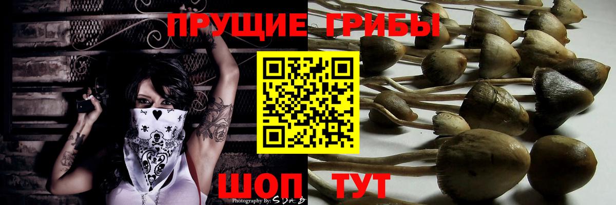 Псилоцибиновые грибы прущие грибы Нижний Новгород
